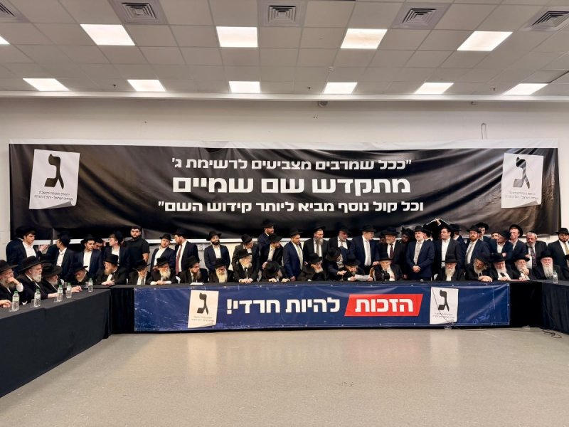 אבי ריין