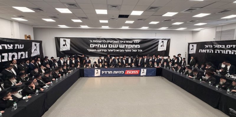 אבי ריין