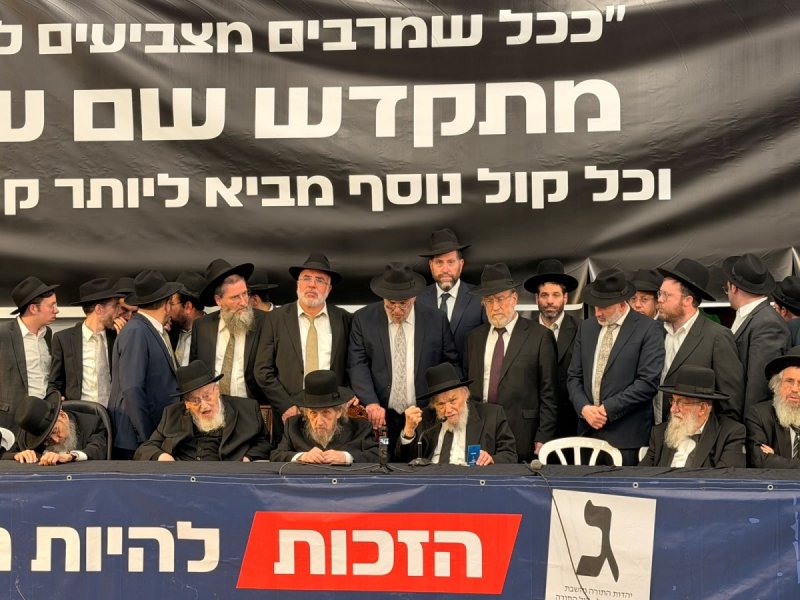 אבי ריין