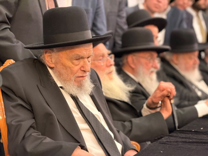 אבי ריין
