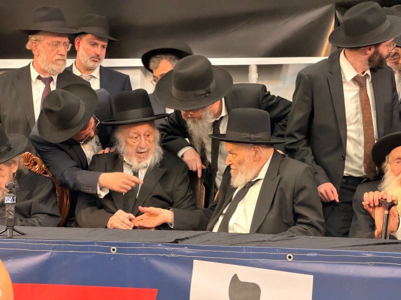 אבי ריין