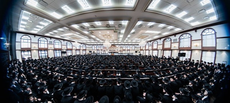 י. שטיין