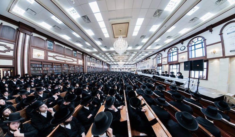 י. שטיין