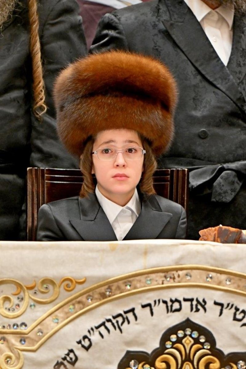 יהושע פרוכטר