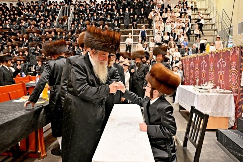 יהושע פרוכטר