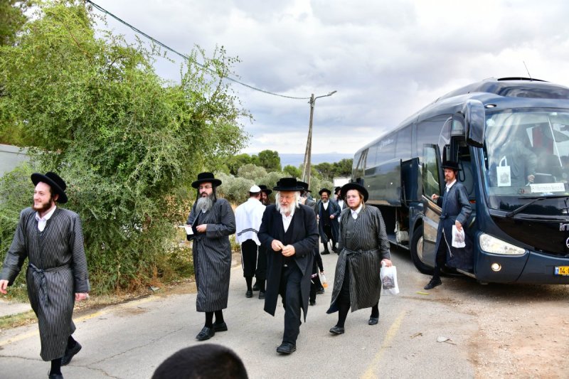 שוקי לרר