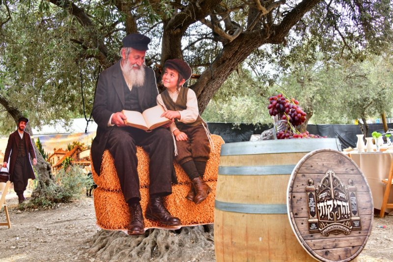 שוקי לרר