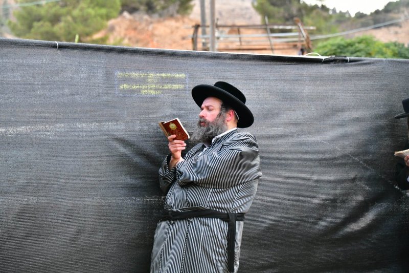 שוקי לרר