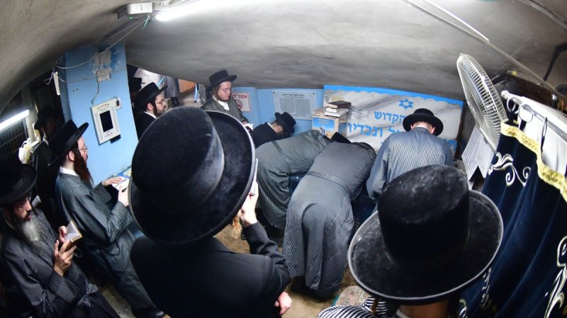 שוקי לרר