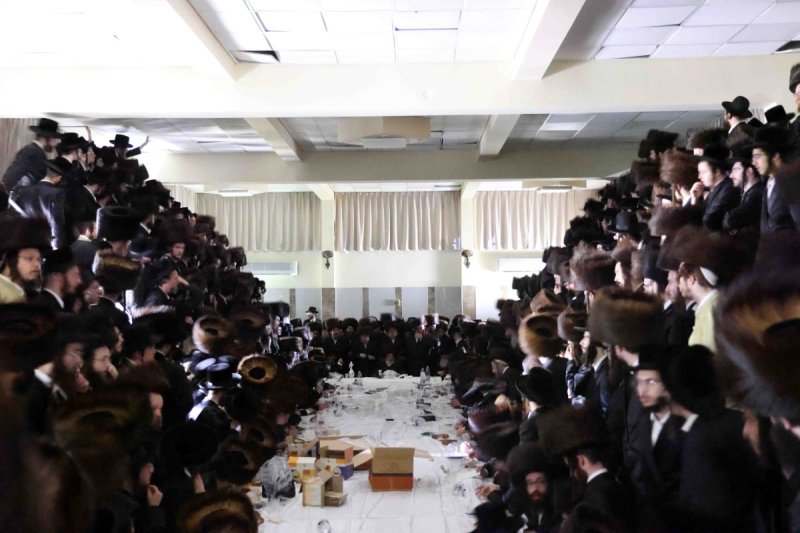 שמואל דריי