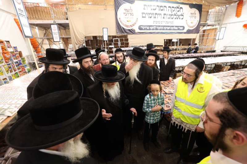 שלומי כהן