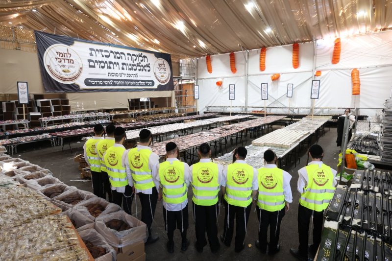 שלומי כהן