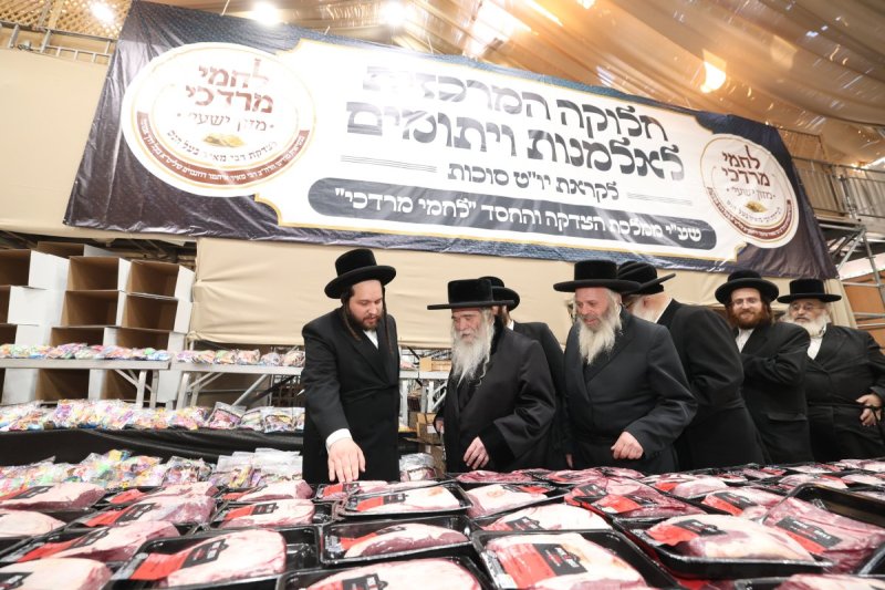 שלומי כהן