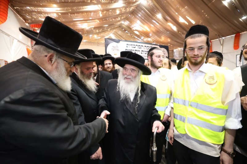 שלומי כהן