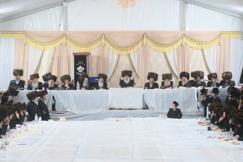 מ. אדלר