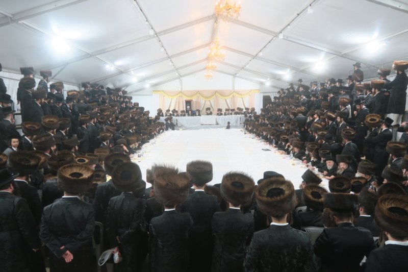 מ. אדלר
