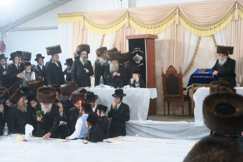 מ. אדלר