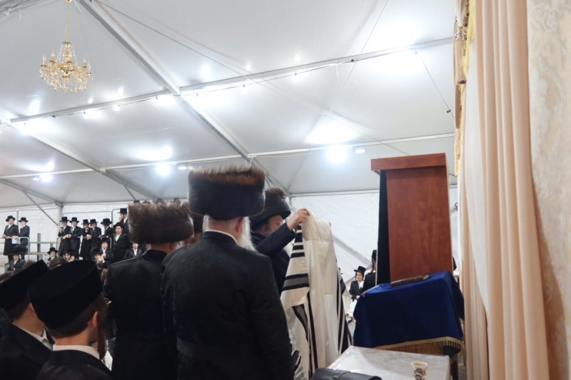 מ. אדלר