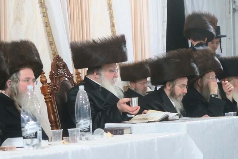 מ. אדלר