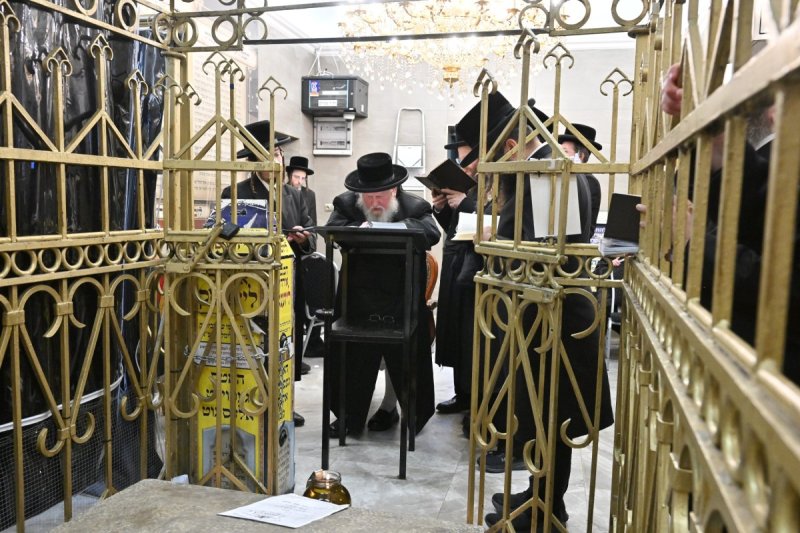 באדיבות המצלם