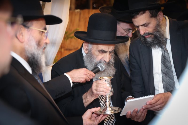 דוד ארזני 