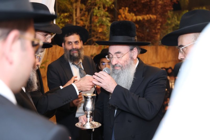 דוד ארזני 
