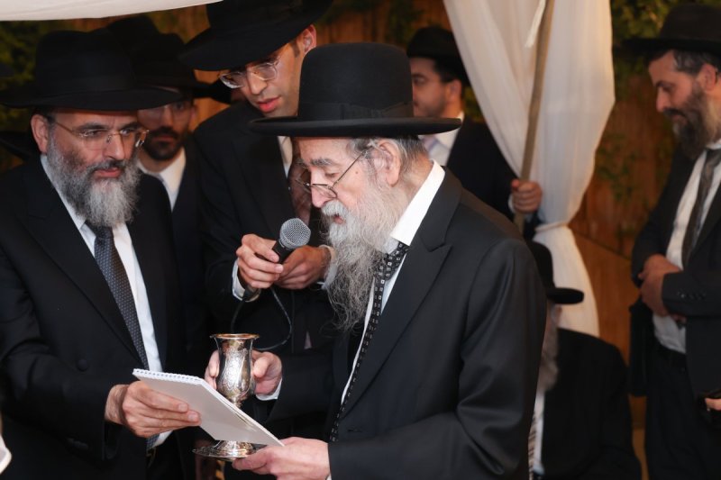 דוד ארזני 