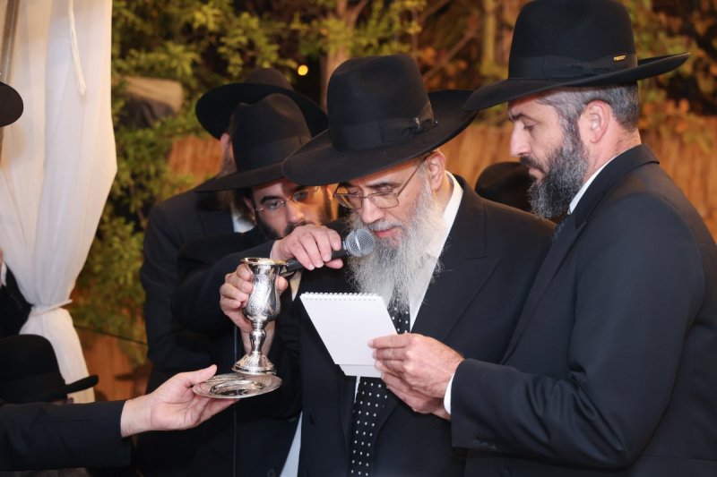 דוד ארזני 