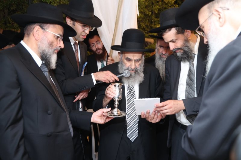 דוד ארזני 