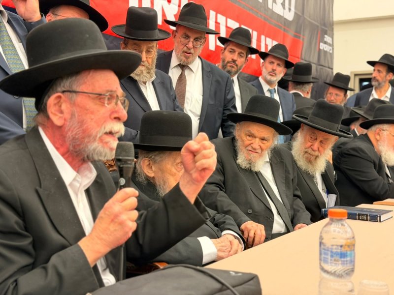 אבי ריין ואלכס הוכברגר