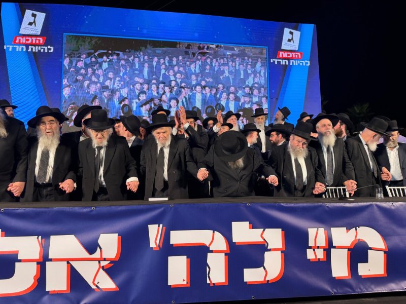 אבי ריין ואלכס הוכברגר