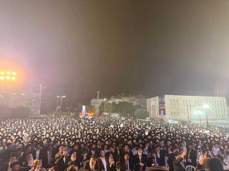 אבי ריין ואלכס הוכברגר