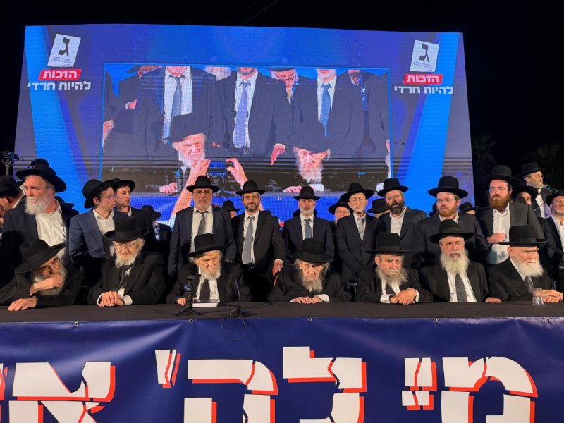 אבי ריין ואלכס הוכברגר