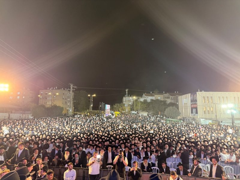 אבי ריין ואלכס הוכברגר