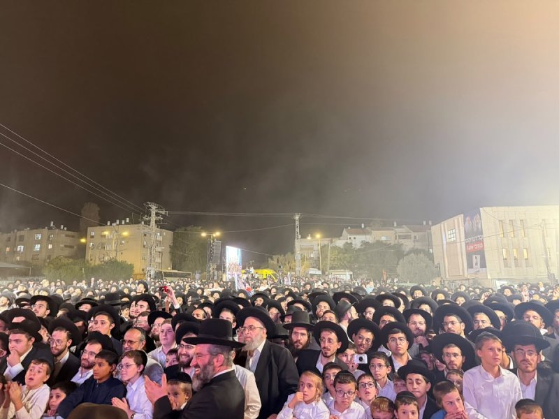 אבי ריין ואלכס הוכברגר