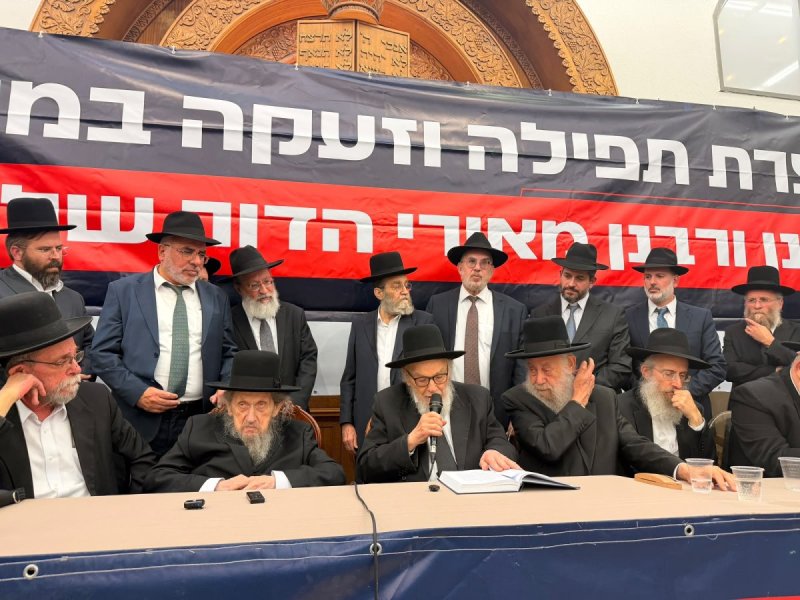 אבי ריין ואלכס הוכברגר