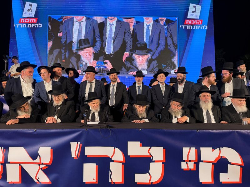 אבי ריין ואלכס הוכברגר