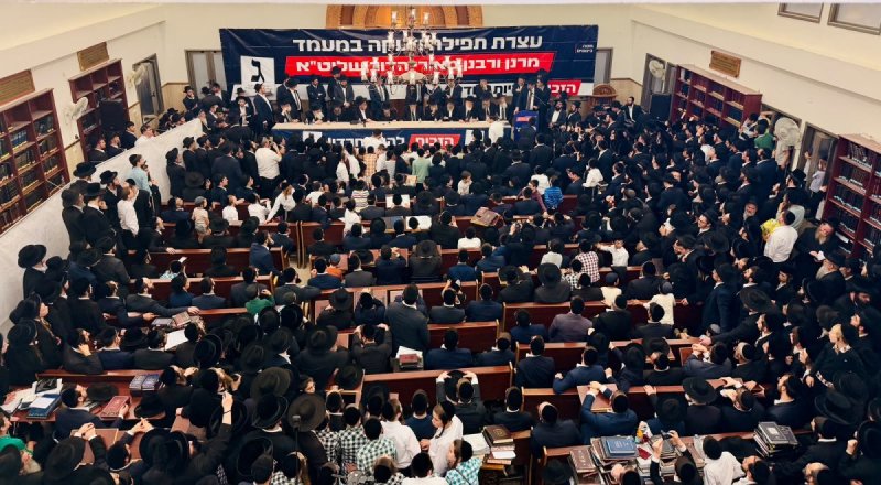 אבי ריין ואלכס הוכברגר