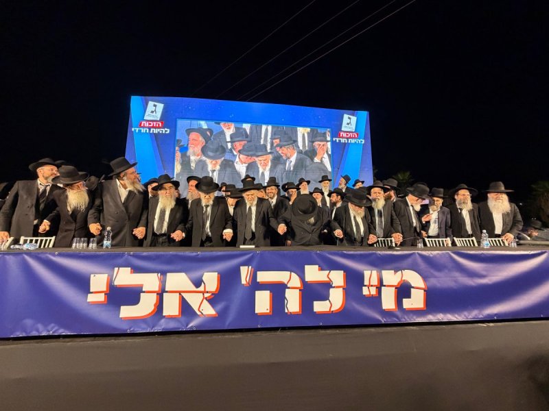 אבי ריין ואלכס הוכברגר