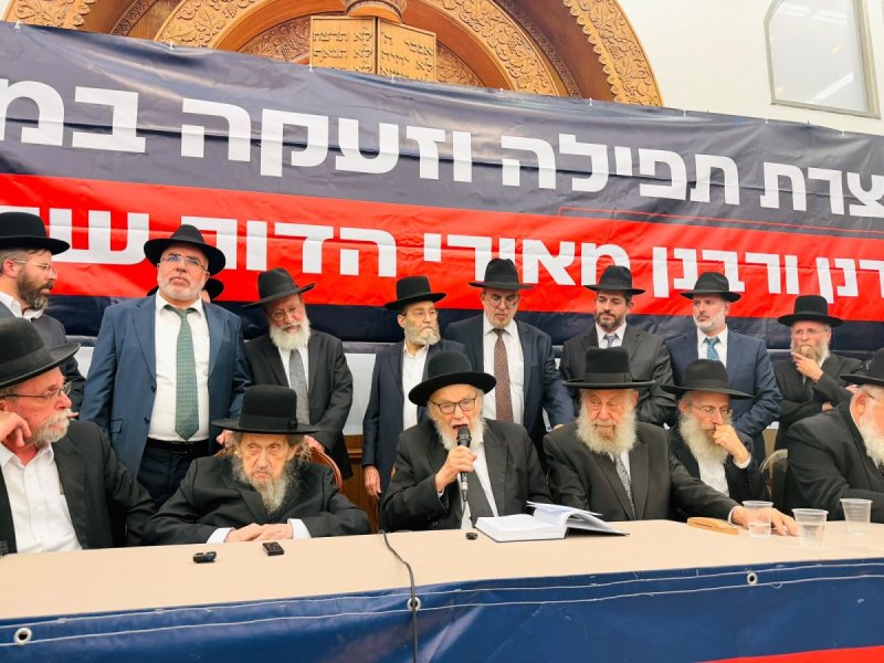 אבי ריין ואלכס הוכברגר