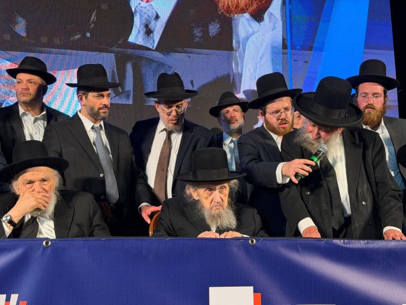 אבי ריין ואלכס הוכברגר