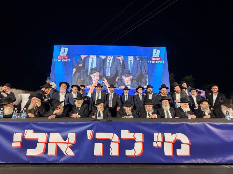אבי ריין ואלכס הוכברגר