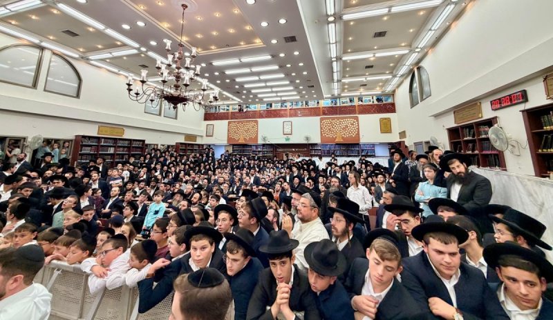 אבי ריין ואלכס הוכברגר