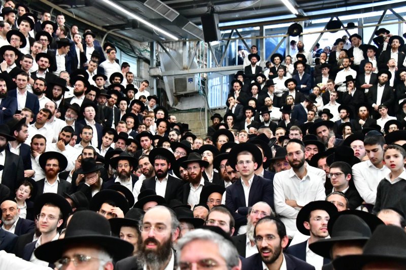 שוקי לרר